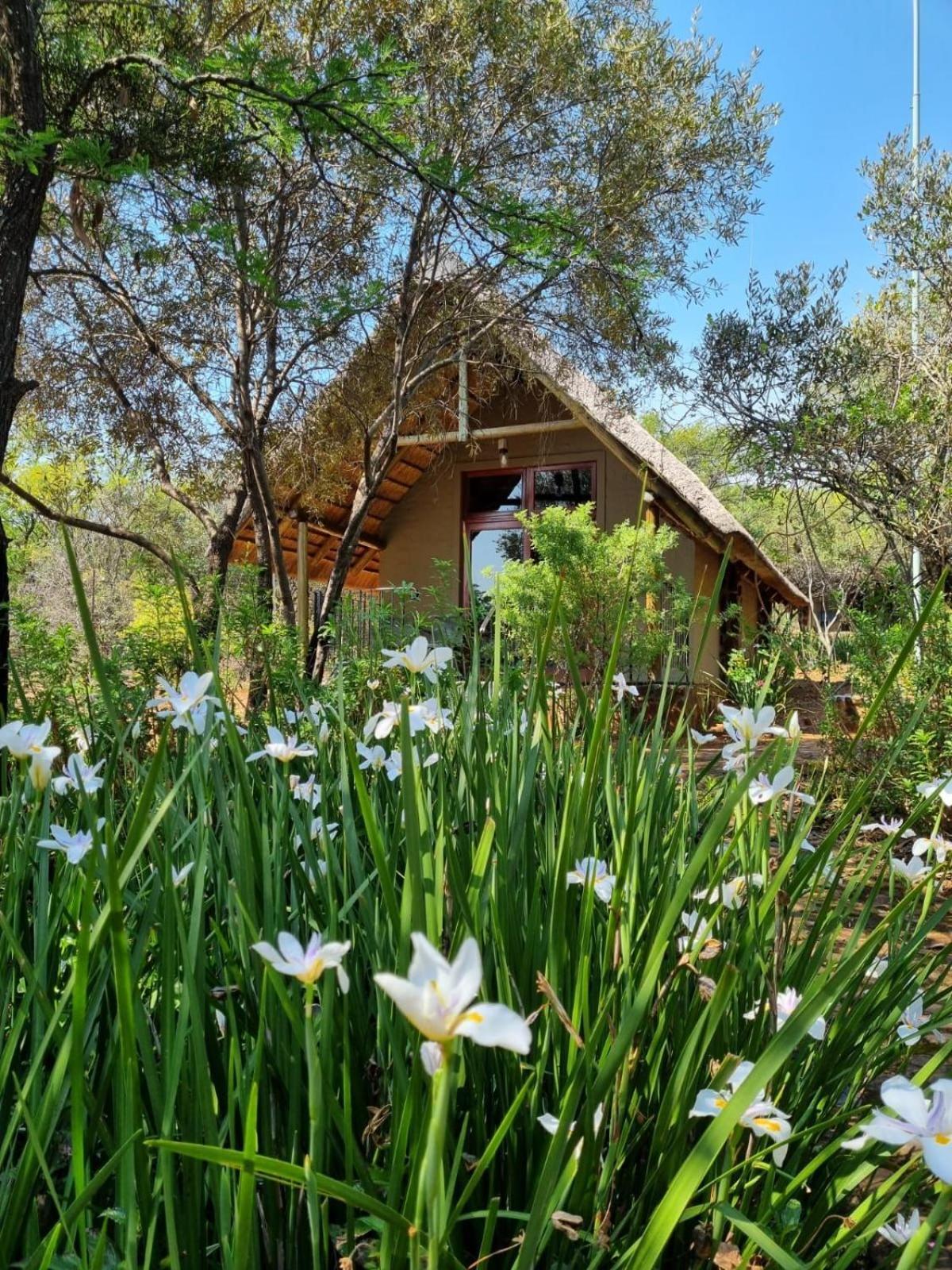 Tidimalo Lodge Rustenburg Exterior foto